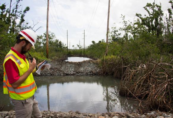 Mangrove forest restoration by the Corps of Engineers’ South Atlantic Division, which oversees military and water-resources design, construction, and operation in the Southeast, the Caribbean, and Central and South America.