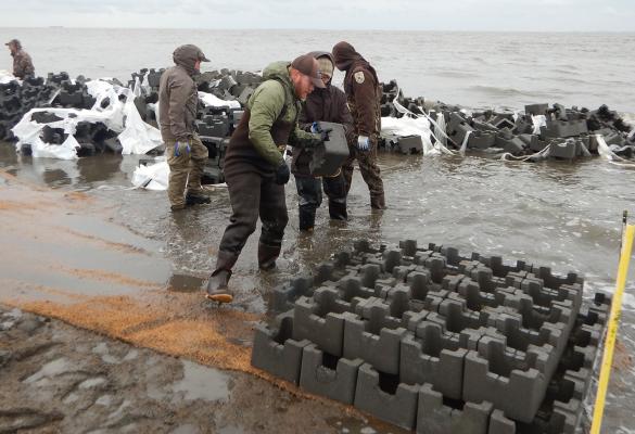 An oyster reef at Gandy’s Beach which is a part of a shell-based living shoreline one mile offshore (projected to reduce incoming wave energy by up to 40 percent).
