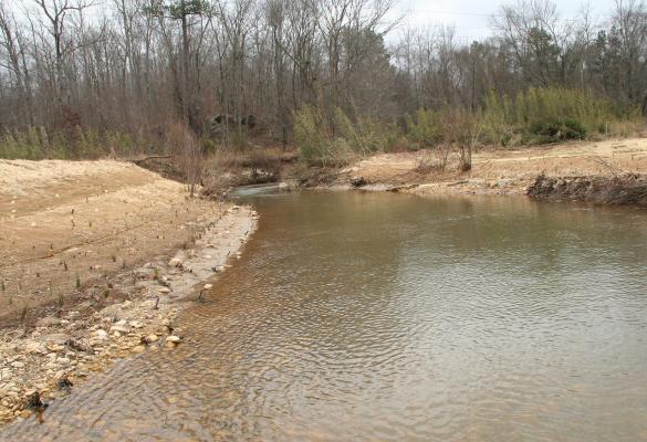 A restoration site at Raccoon Creek in Paulding County on the northwest edge of metro Atlanta, Georgia a few weeks following the latest restoration work by the U.S. Fish and Wildlife Service.