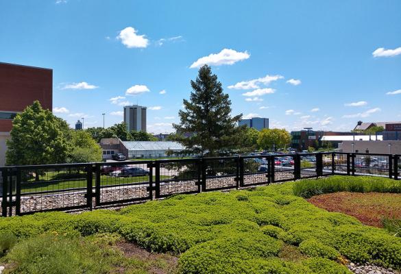 Green roof on Howlett Hall at Ohio State University in Columbus, Ohio.
