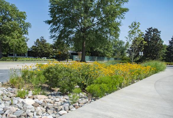 Rain gardens at Arlington National Cemetery in Arlington, Virginia.