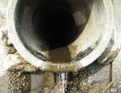 Outflow credit Flickr/eutrophication&hypoxia