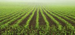 Agriculture Department Buries Studies Showing Dangers of Climate Change