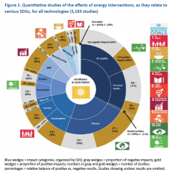 Energy as the Golden Thread: What do we Know?