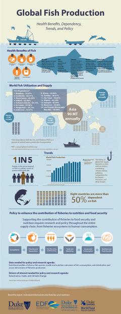 Author Discusses Research on the Nutrition and Food Security Contributions of Capture Fisheries 