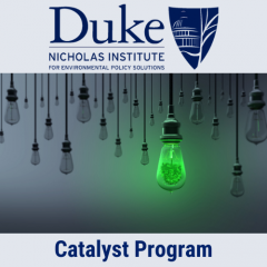 Seven Duke Research Projects Receive Catalyst Program Grants for 2020–2021