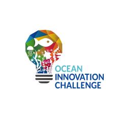 Nine Projects Combating Marine Pollution Selected as UNDP Ocean Innovators