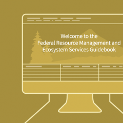 Our Impact: Guidebook Facilitates Ecosystem Services Assessment