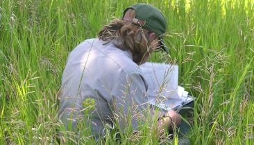 Ranger Collecting Data by US National Park Service
