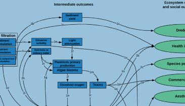 Conceptual model