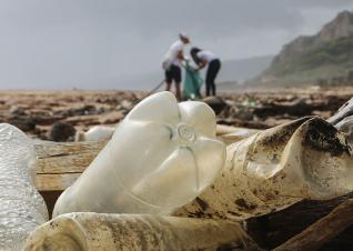 Plastic Pollution Working Group