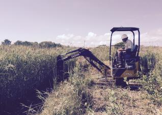 A U.S. Fish and Wildlife staff member uses an excavator to create drainage ditches in a salt marsh.