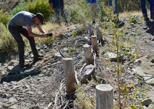 o	A group of people surrounding a beaver dam analog structure, formed of a series of short upright logs with sticks and brushy vegetation in between. 