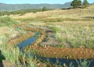 A narrow water channel surrounded by vegetation anchored in erosion netting.