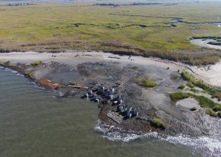 An oyster reef in Downe Township, New Jersey that serves as the first phase of the Hurricane Sandy-funded living shoreline installation for the Gandy’s Beach shoreline protection project (completed in October 2015).