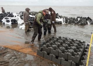 An oyster reef at Gandy’s Beach which is a part of a shell-based living shoreline one mile offshore (projected to reduce incoming wave energy by up to 40 percent).