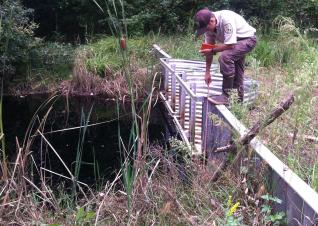 Nearby Chesapeake and Suffolk, Virginia, Fred Wurster, a hydrologist, manipulates a water control structure, 1 of 22 structures repaired or installed by the U.S. Fish and Wildlife Service with Hurricane Sandy resilience funding to reduce impacts of flood and fire.