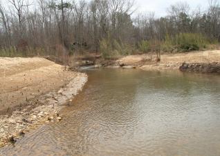 A restoration site at Raccoon Creek in Paulding County on the northwest edge of metro Atlanta, Georgia a few weeks following the latest restoration work by the U.S. Fish and Wildlife Service.