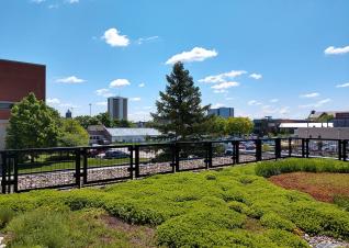 Green roof on Howlett Hall at Ohio State University in Columbus, Ohio.