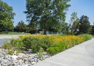 Rain gardens at Arlington National Cemetery in Arlington, Virginia.