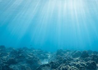 Underwater image of seabed.