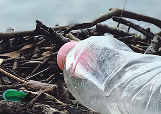 Plastic bottle along the shoreline.
