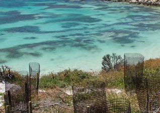 Climate resiliency credit iStock user EAGiven