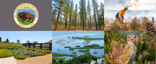 Department of the Interior logo, forest, prescribed burning, urban greenspace, estuary, and forest stream